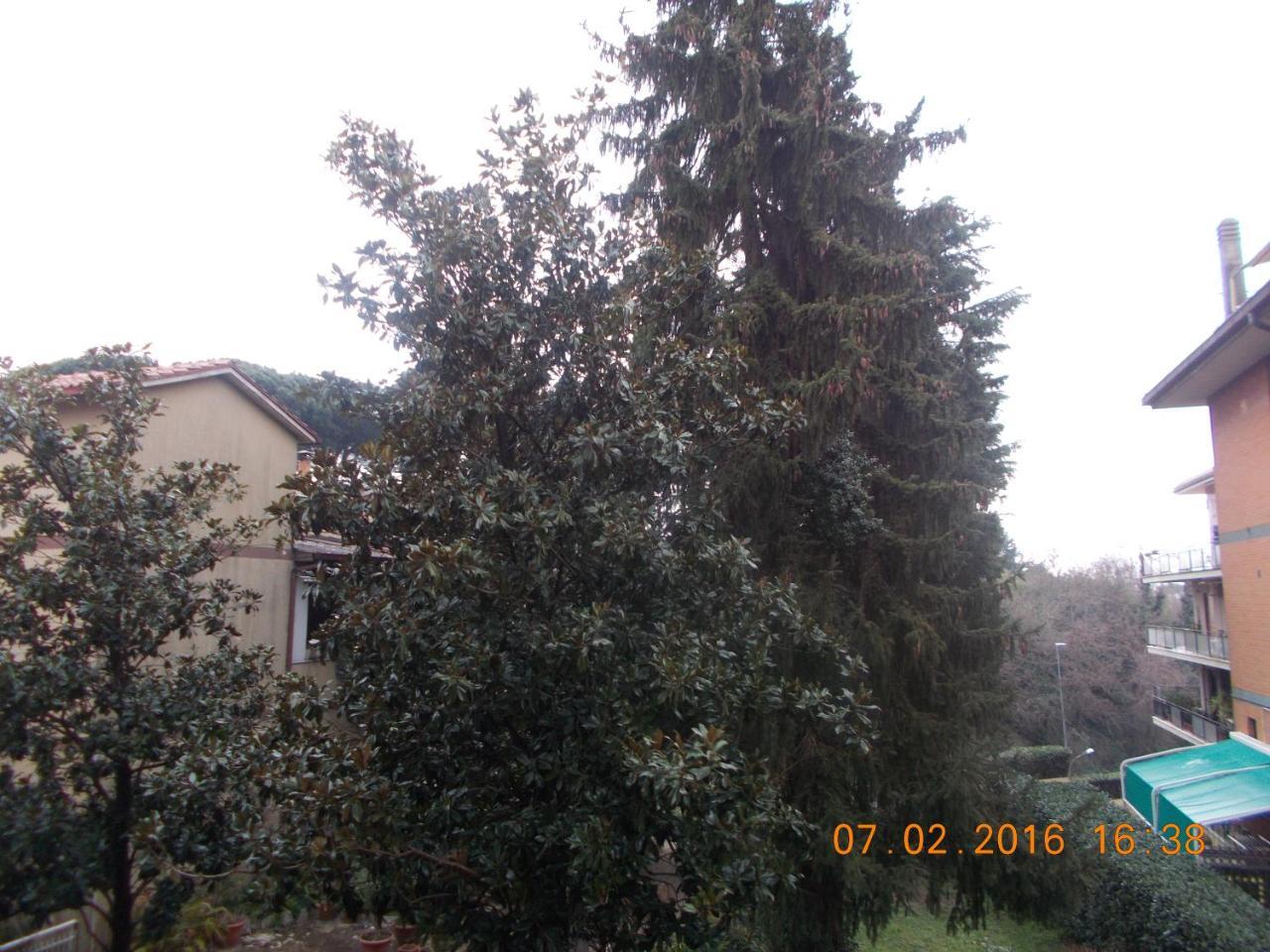 Appartamento I Cedri San Cesareo Esterno foto